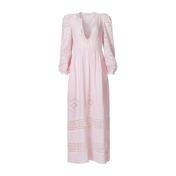 Alix of Bohemia Dresses & Skirts - NWT Alix of Bohemia Winifred Blushed Eyelet Dress sz S $1,190